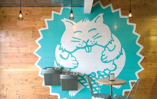 Hand painted environmental graphics for Fat Cat Creamery | Designed by Field of Study: A branding and graphic design consultancy | Houston TX | Jennifer Blanco & John Earles