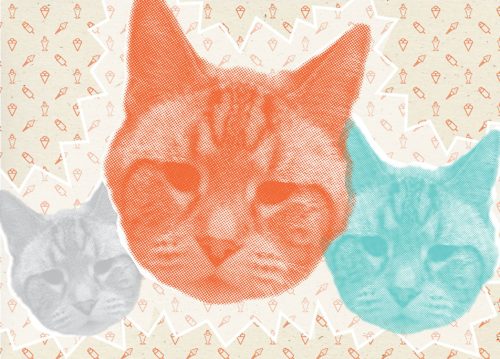 Printed artwork detail for Fat Cat Creamery | Designed by Field of Study: A branding and graphic design consultancy | Houston TX | Jennifer Blanco & John Earles