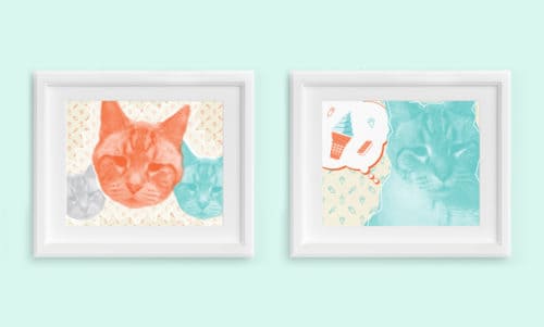 Brand development, website, packaging, graphic design, and space design for Fat Cat Creamery, Houston, Texas | Field of Study: A Design & Branding Consultancy.