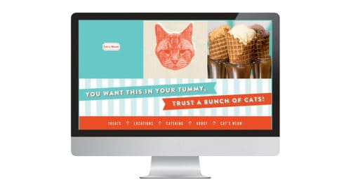 Brand development, website, packaging, graphic design, and space design for Fat Cat Creamery, Houston, Texas | Field of Study: A Design & Branding Consultancy.