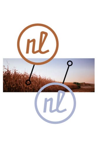 Color picker for Nathan Lindstrom Photography | Designed by Field of Study: A branding and graphic design consultancy | Houston TX | Jennifer Blanco & John Earles