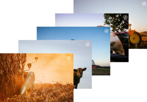 Image watermarks for Nathan Lindstrom Photography | Designed by Field of Study: A branding and graphic design consultancy | Houston TX | Jennifer Blanco & John Earles