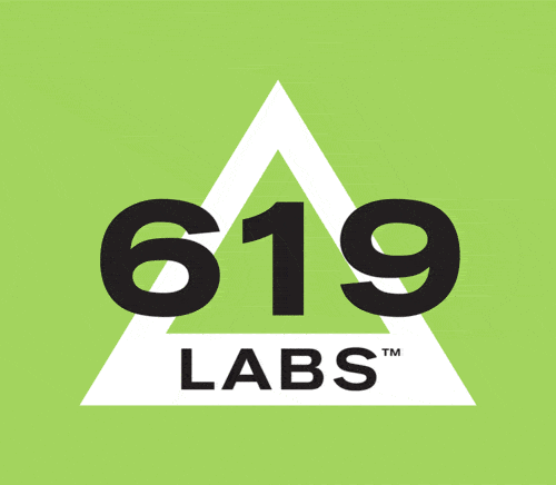 Logo for 619 labs, multicolor | Designed by Field of Study: A branding and graphic design consultancy | Houston TX | Jennifer Blanco & John Earles