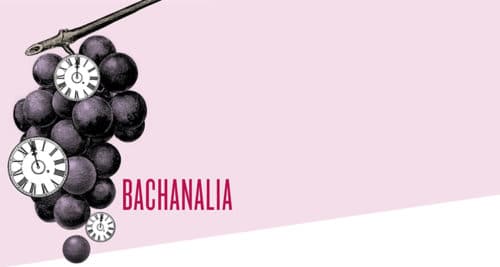Bachanalia cover design for Ars Lyrica Houston | Designed by Field of Study: A branding and graphic design consultancy | Houston TX | Jennifer Blanco & John Earles